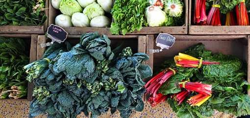 The 8 Best Markets in Indiana!